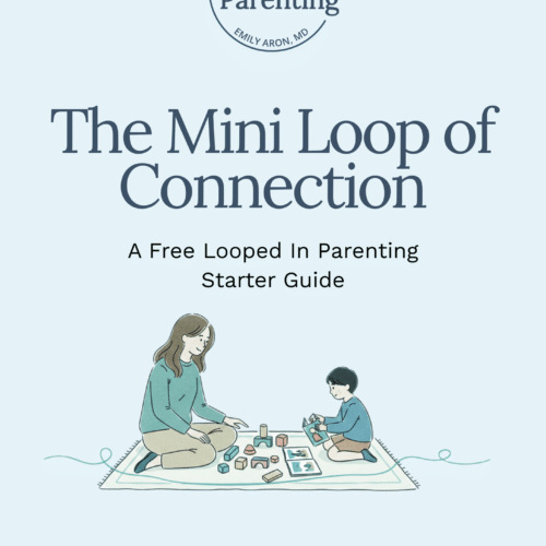 Mini Loop of Connection Guide