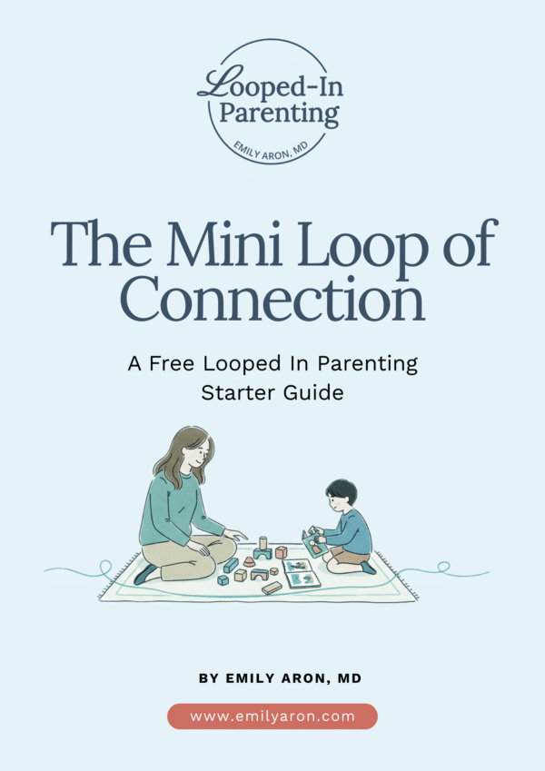 Mini Loop of Connection Guide